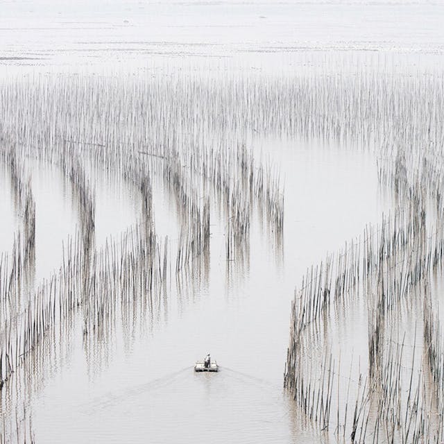 《Morning Meander 黎明曲流》