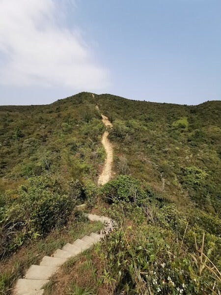 向陽的山坡，或因山火連年，或因狂風摧折，只有灌木矮樹，加上驕陽如暑，山徑走得不輕鬆。