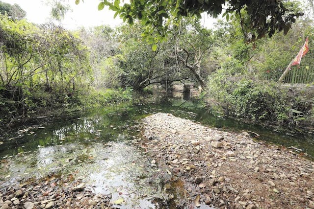 荔枝窩村極具生態價值，擁有農地、河溪、紅樹林等不同生境，以及珍貴物種如銀葉樹和白花魚藤，更是香港聯合國教科文組織世界地質公園的一部分。據漁護署的資料，全球逾60種紅樹，香港就有其中8種，沿着荔枝窩自然步道便可找到；而村中大樹也是古樹名木，如細葉榕、秋楓樹和樟樹也被列入古樹名冊。