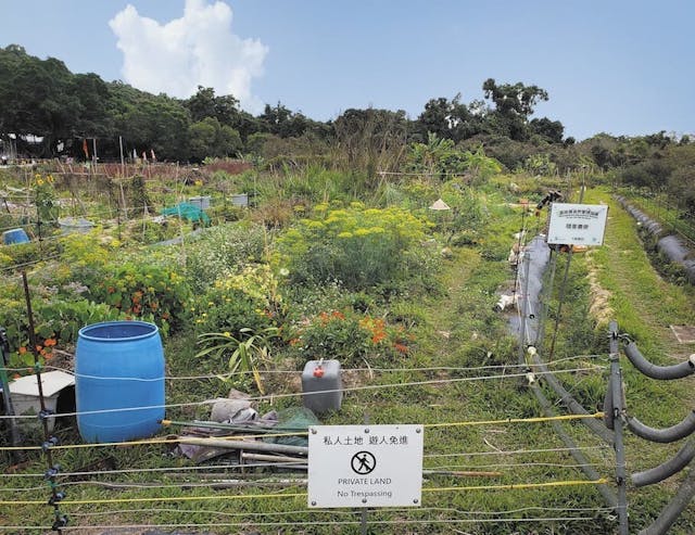 從荔枝窩村經小徑到梅子林村期間，會穿過五公頃的「三斗種」 農區，從2015年開始，由原居民、新村民扎根建立的小型農場，延續耕種傳統，重建以農為本的社區。