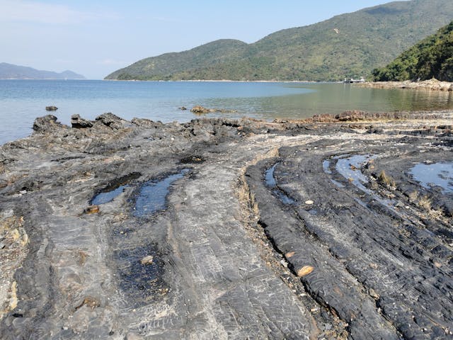 在荔枝莊碼頭西測，可發現地層摺曲的痕跡。