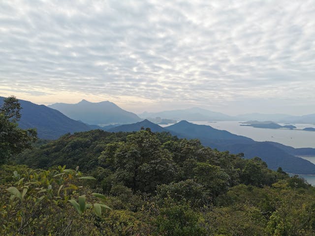 擔柴山望吐露港。