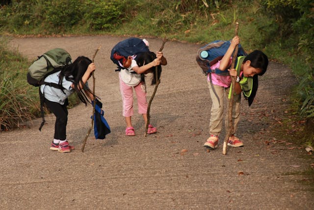 孩子們用木棍充作登山杖。