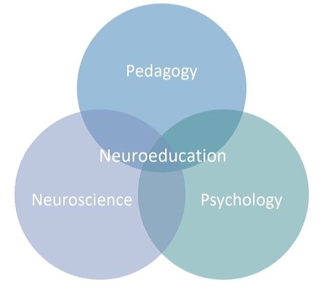 神經教育是一種跨學科的方法。（NeuroEducation臉書圖片）