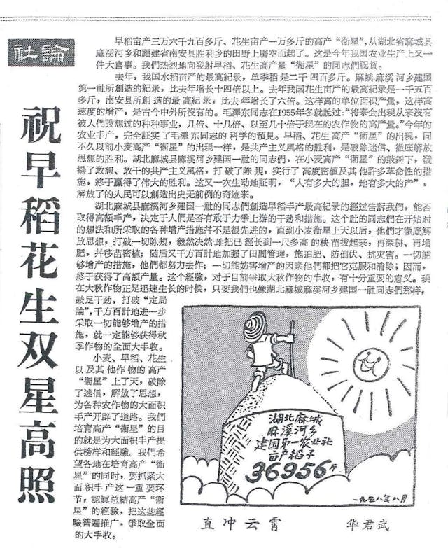 1958年8月13日，《人民日報》發表社論賀「豐產衛星」，並刊出名家（華君武）的政治漫畫〈直衝雲霄〉，祝賀36956斤的紀錄。