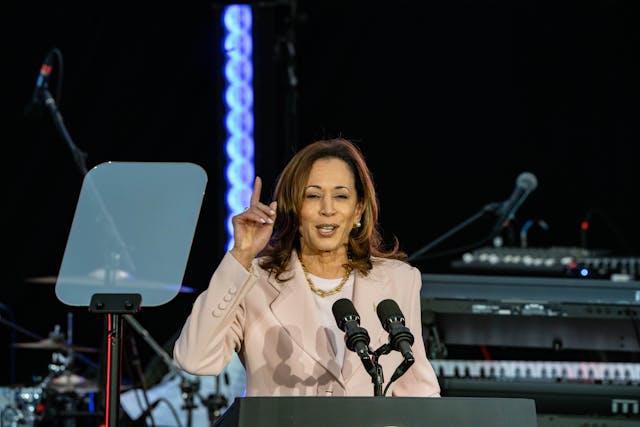 賀錦麗（Kamala Harris）是最有可能披掛上陣的人選。（Shutterstock）