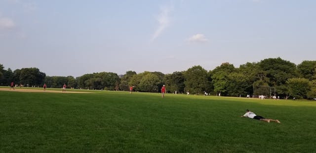 紐約中央公園草地 。