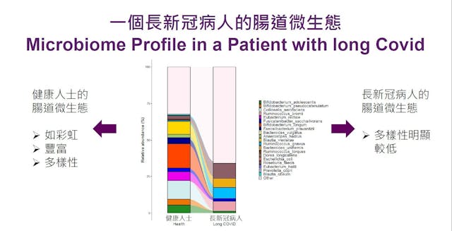 長新冠患者具有獨特的腸道微生態。其生物多樣性明顯較低。（中大記者會簡報截圖）