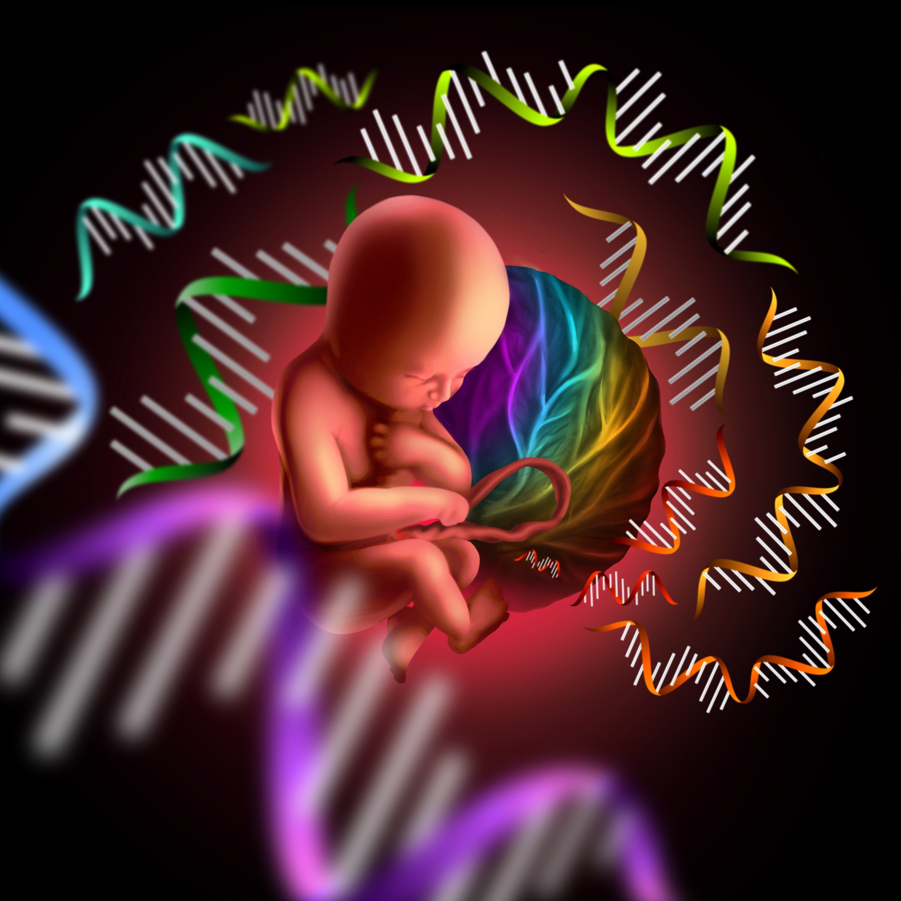  盧教授的團隊透過創新的生物信息科技，分析母體血漿中的微量DNA，成功破解了胎兒的全基因組圖譜，從而可及早預測多種遺傳病。（中大圖片）