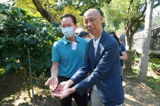 荔枝窩擁有目前香港最大的咖啡種植園，種有約700棵荔枝樹。陳智思（左）和黃錦星拿着的是成熟的荔枝漿果。（曾紹樑攝）