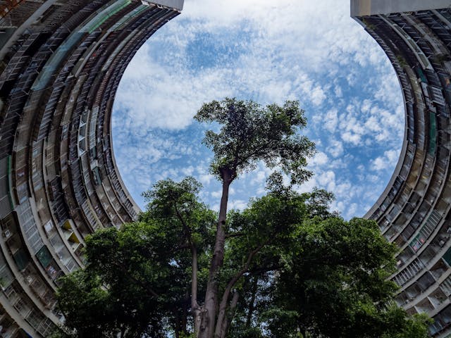 有「小香港」之稱的左營果貿社區，前身為海軍眷村果貿三村。（Shutterstock）