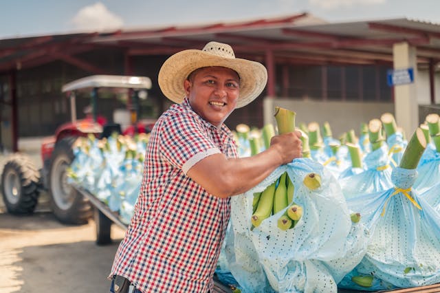 美國從中美洲進口香蕉，繼而購入大量土地種植香蕉，逐步伸展到修橋築路和碼頭，降低運輸成本。（Shutterstock）