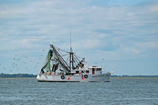 2020年美國加州狩獵及捕魚執照增發10%，扭轉多年跌勢。（Shutterstock）