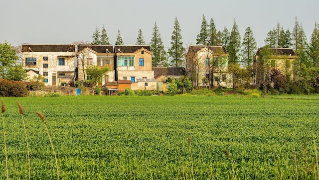 十八大之後，習近平主席提出承包地「三權分置」，希望令土地分配和使用更加公平。（Pixabay）