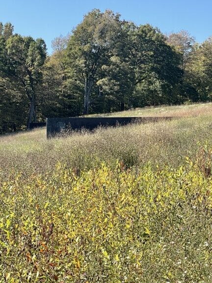 圖三： Schunnemunk Fork, by Richard Serra, 1990-1991。