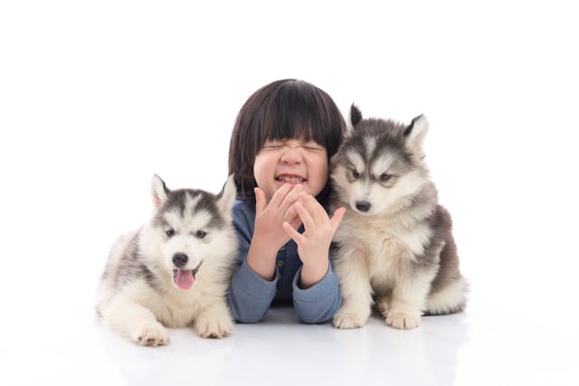 沒有哪個幼兒會不喜歡親近小動物，看到它們受傷也會感同身受。（Shutterstock）