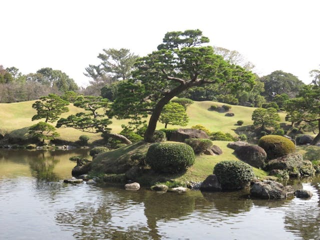 寂靜園中，遍植高古的松樹。