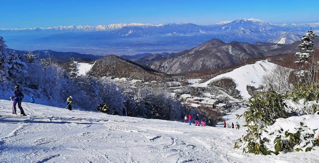 2019年的日本志賀高原，那是我們最後一次去滑雪。