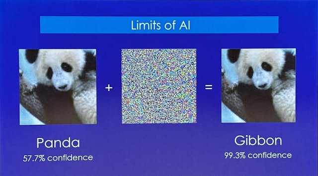 Holmes博士舉例，要加上由許多熊貓圖片構成的雜訊，AI才能精準辨認到一張熊貓的圖片。（翻攝自簡報）