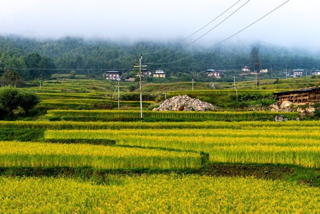 不丹的「愉快指數」，背後是GNH（Gross National Happiness），是第四代國王倡議的，第五代加以發揚光大。（Shutterstock）