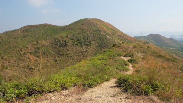 髧肚嶺位於鐵坑山一帶，因為形似佛肚向下垂而得名。（徐淑梅攝）