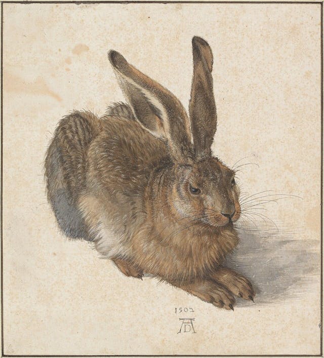 Albrecht D&uuml;rer, Young Hare, 1502, watercolor and body color, Albertina, Vienna.