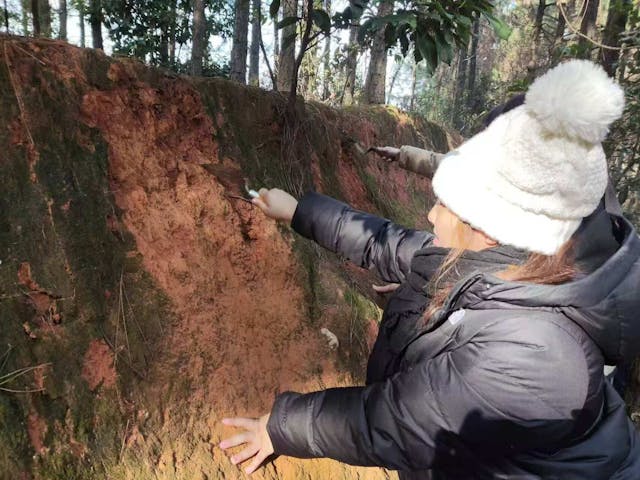 鏟子挖開，展露出的泥土剖面，層次分明，是歷史朝代更替的變化。（作者圖片）