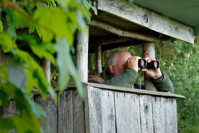 (Shutterstock)