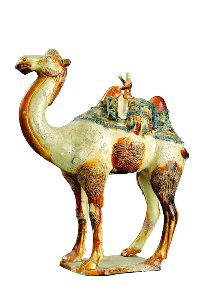 三彩騎人駱駝俑以高大的駱駝、微小的陶人來突顯駱駝於橫越沙漠、運送貨物，以至中外文化交流上的重要性。（洛陽博物館藏）