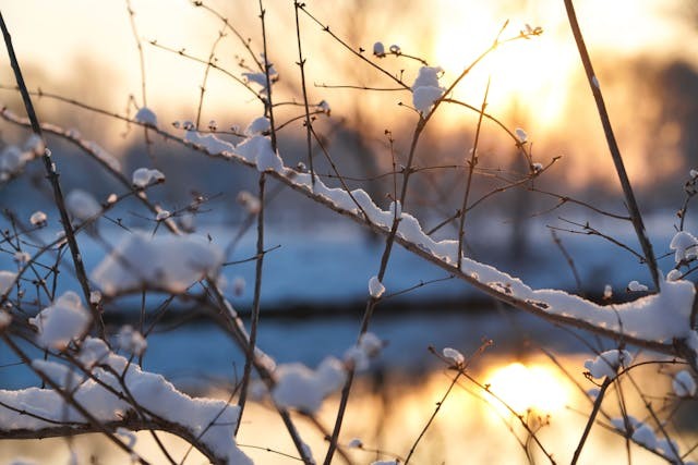 冬至陽生，陽是曙光、初動、希望和新的開始和動力。動力來自清零往事，拋棄一切包袱、面子與怨恨，重新起步。（Shutterstock）