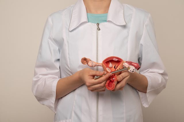 「雄性常態」存在的原因之一在於，花時間控制女性生殖周期，被認為是困難且昂貴的；卵巢本身就被當成是一個「造成混淆的因素」。（Shutterstock）