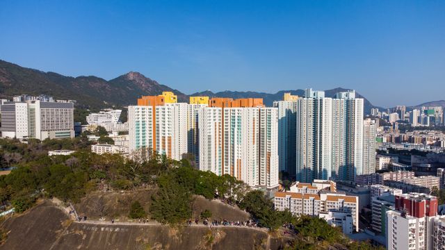 務實檢討租置計劃