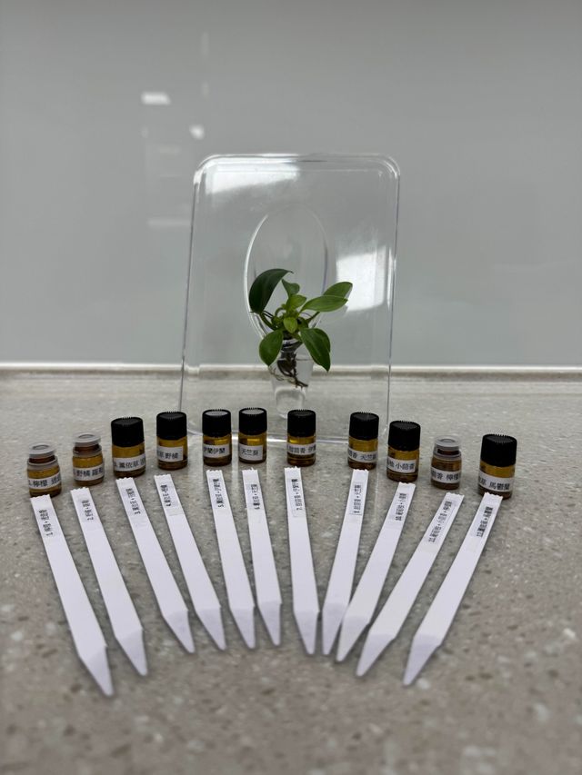 迷迭香的凌厲、野橘的甜潤、甜茴香的甘草尾韻、伊蘭伊蘭的異國花香⋯⋯香氣在空氣中交織，各有千秋。（作者提供）