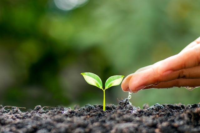 人生，不也如此？（Shutterstock）