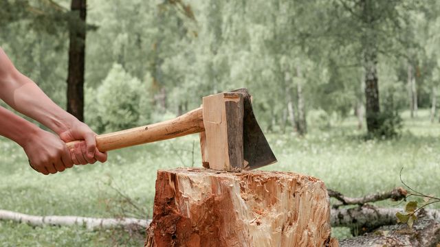 粵語解密：坎、扻