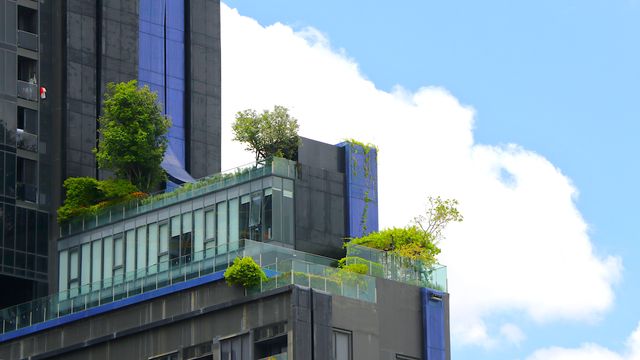 自然與生物多樣性將成為企業的必要課題