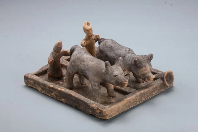 A clay model of two oxen ploughing shows how oxen