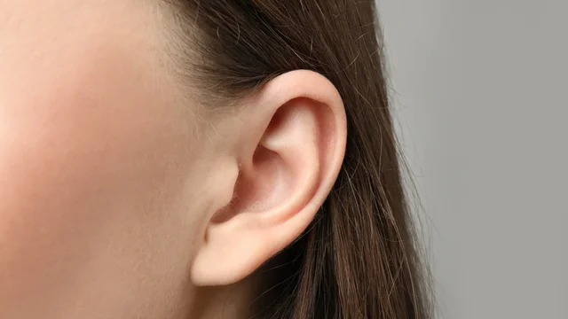 耳穴顯神通：小耳朵裏的大乾坤