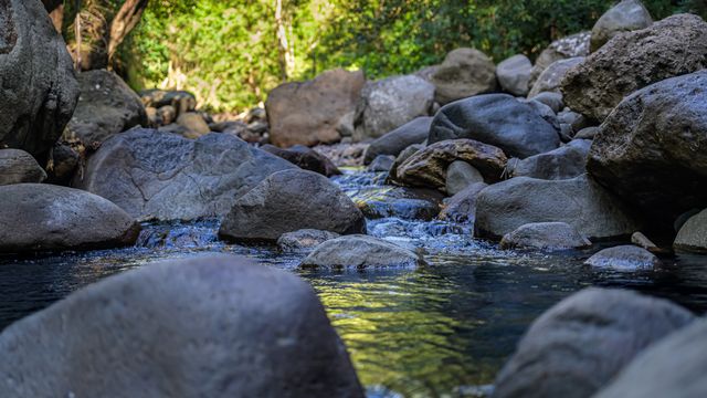 歲月如水 在身邊流過