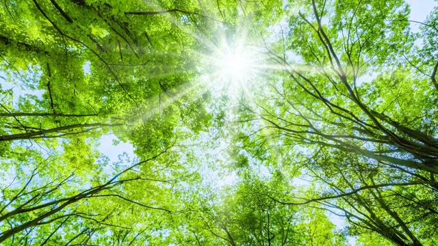 五四 逐光立夏時