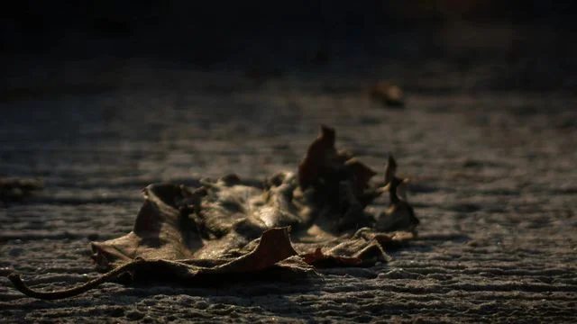 面對死亡