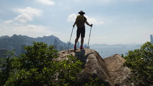 「導山」新行業