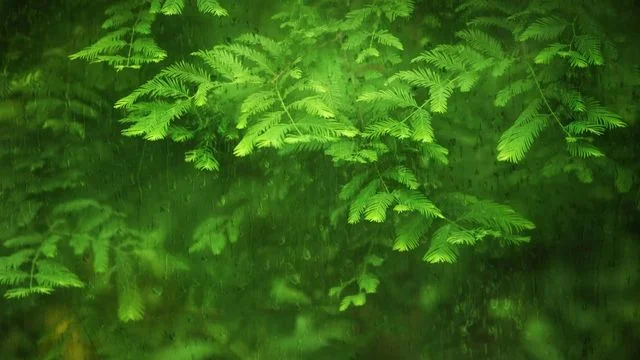 無住相布施