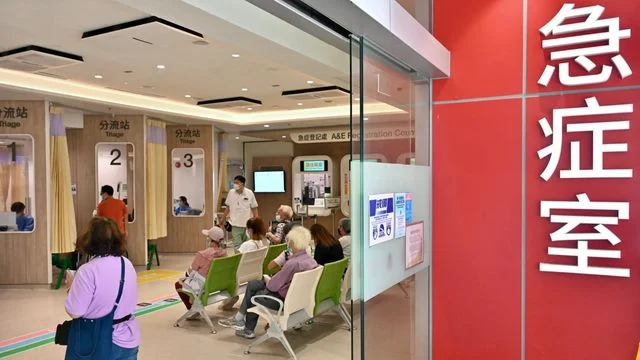 從專業學位就業變化 看高等教育與職專發展