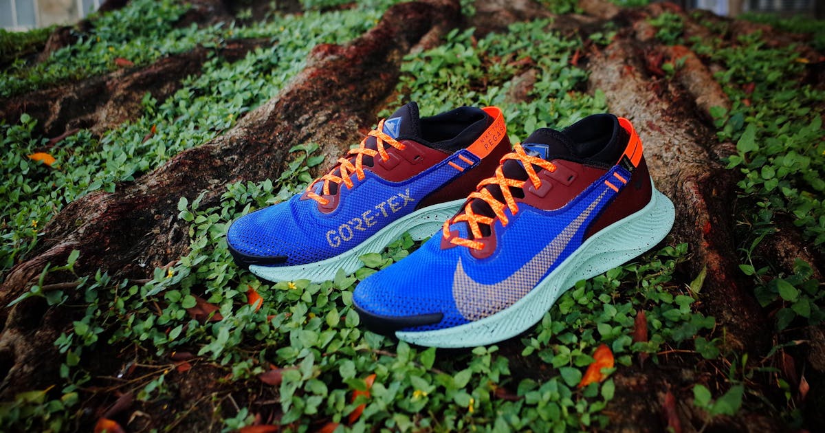 pegasus trail 2 goretex review