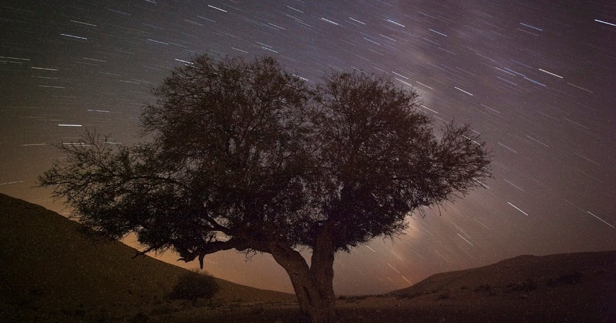 3dd4d6d3-5b75-4f94-b7d6-