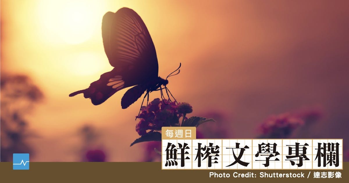 【書評】王鷗行《此生，你我皆短暫燦爛》：美國夢的另一面，倖存者綻放出的文學生命之花 - TNL The News Lens 關鍵評論網
