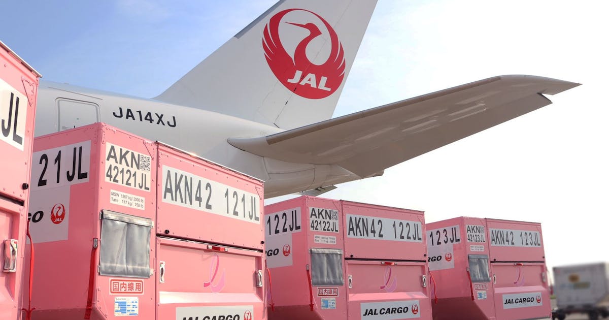 JAL 日本航空　鶴丸　機体　BIGポスター 二戰後成立的日本航空，其經典LOGO「鶴丸」是怎麼來的？ - TNL The