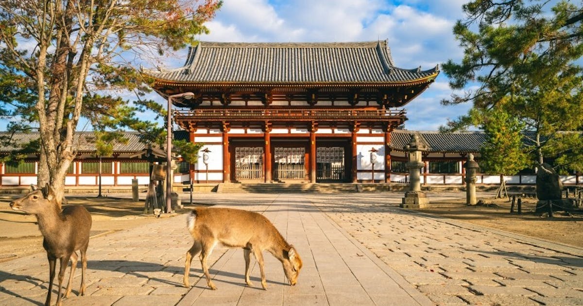 周永新教授：漫遊高松、奈良、小豆島──唐玄奘舍利竟在奈良？ | 編輯