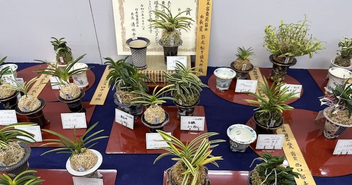 64dc0db0-ea77-4d30-a9d6-